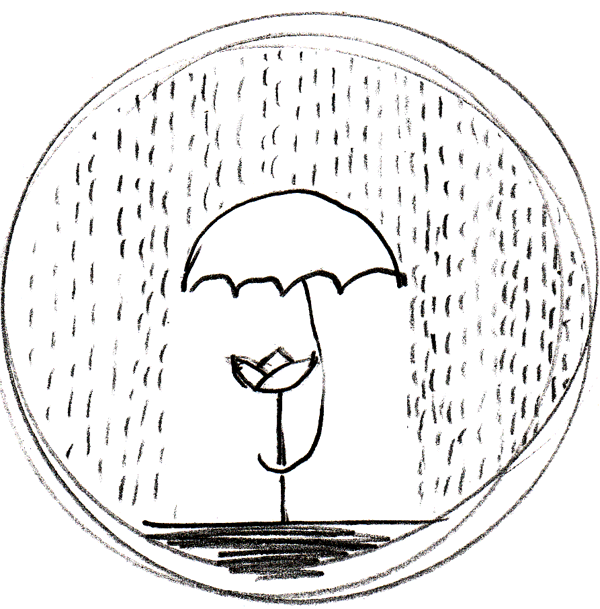 lotus umbrella